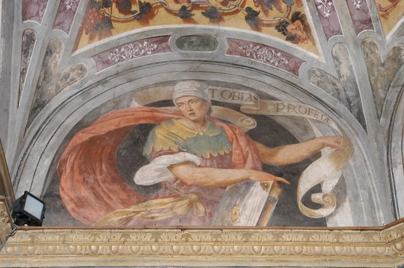 Tobia - Lodi